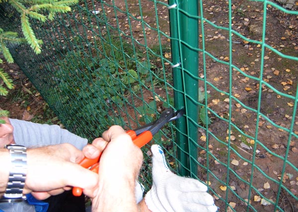 �Ͼ��o�ھW(w��ng)