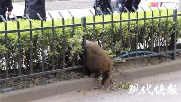 �Ͼ��o�ھW(w��ng)�r��