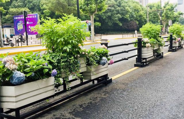 �o�ھW(w��ng)�r��