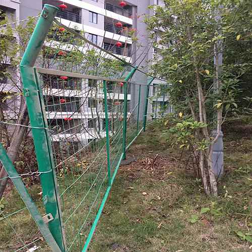 ����o�ھW(w��ng)