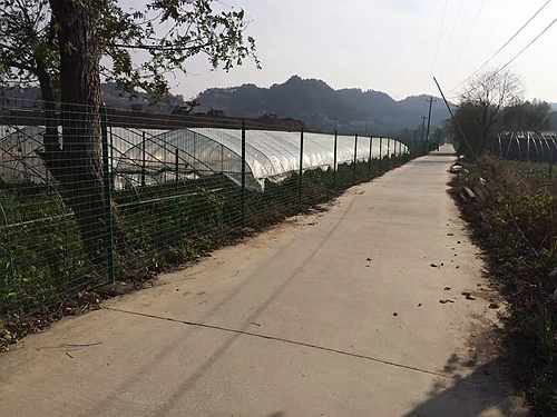 �Ͼ��o(h��)�ھW(w��ng)�r��