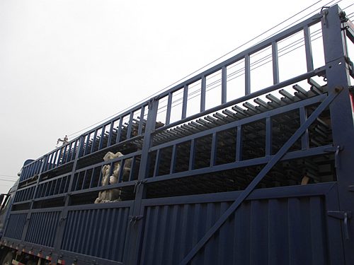 �\䓇����o��